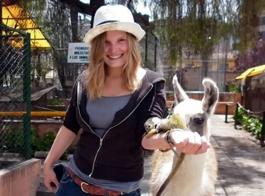 Voluntariado con Animales