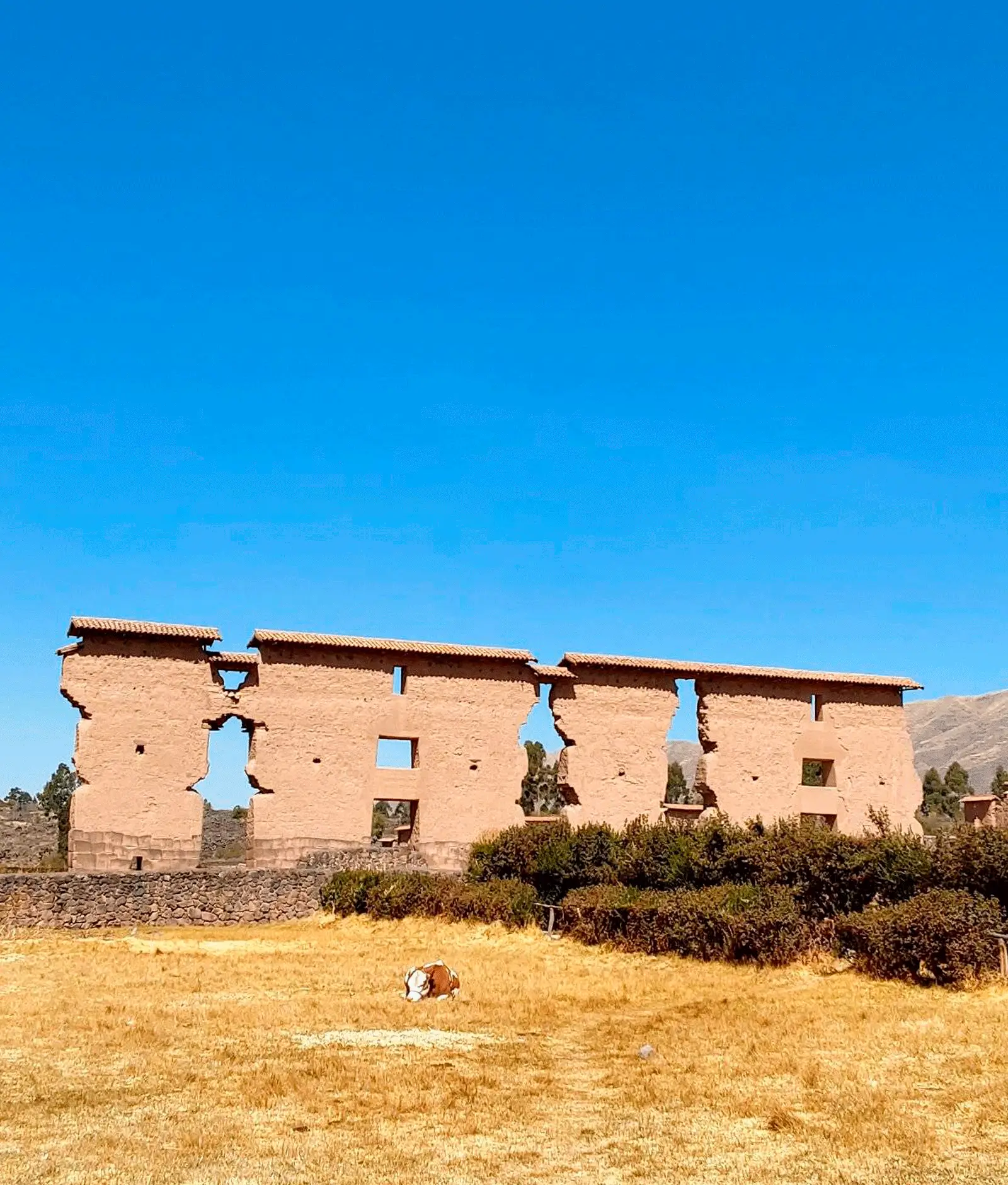 Raqchi  - Cusco